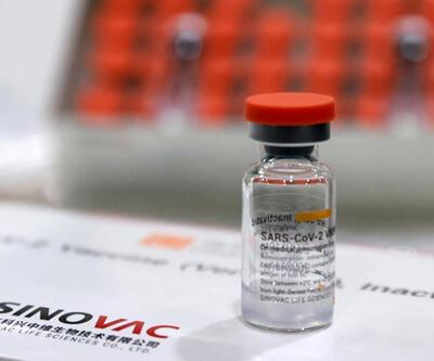 El Salvador'a 1 milyon doz Sinovac aşısı ulaştı