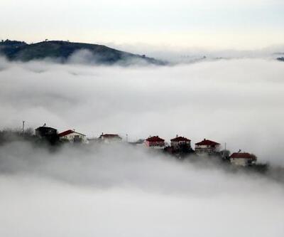 Zonguldak'ta sis yaşamı zorlaştırdı