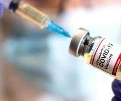 50 yaş üstü aşı randevusu nereden alınır? Aşı hakkı sorgulama nasıl yapılır?