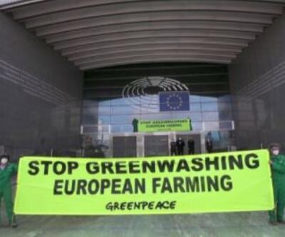 Greenpeace'ten yeşil boyalı eylem