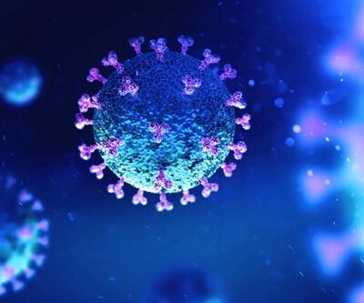 Mutasyonlu virüs hamilelerde ölümü artırdı