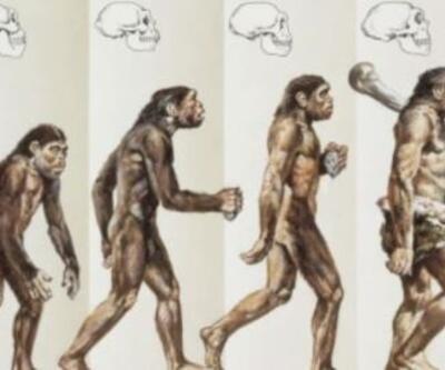 Evrim diyagramı hatalı mı?