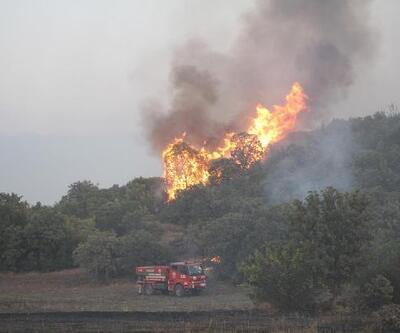 Manisa'daki orman yangınında 'sabotaj' şüphesi