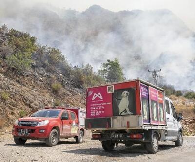 Büyükşehir, yangından etkilenen hayvanlar için yardıma koştu
