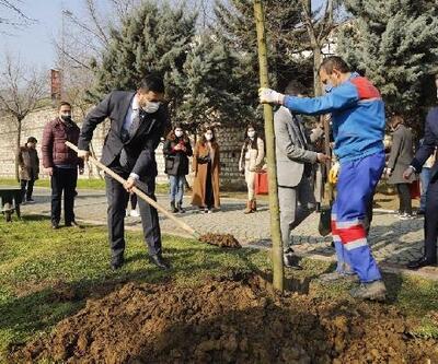 Kağıthane Belediyesi Manavgat’a 10 bin fidan gönderecek