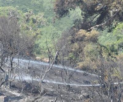 Çanakkale'de ormanlık alanda çıkan yangın kontrol altına alındı