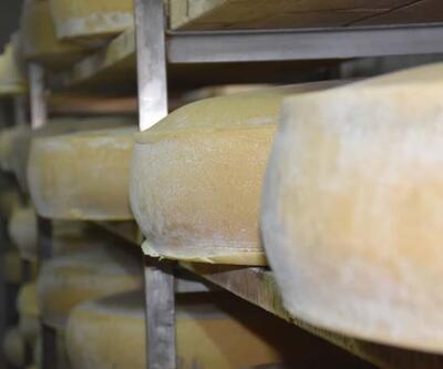 Kars gravyer peynirinin 9 ay süren lezzet yolculuğu