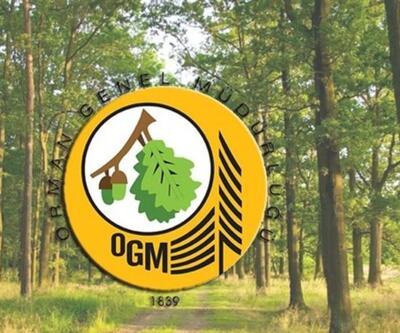 Orman Genel Müdürlüğü personel alımı şartları: OGM personel alımı başvurusu nasıl yapılır?