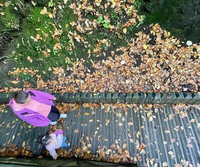 Düzce'deki Aydınpınar Şelalesi Tabiat Parkı'nda sonbahar güzelliği