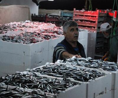 Amasra'da balıkçılar tonlarca hamsiyle döndü