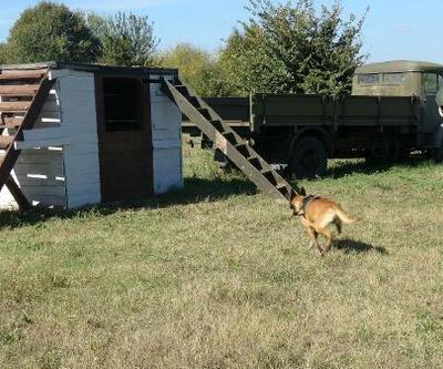 TSK'nın sınır ötesi operasyonları için köpekler Bursa’da eğitiliyor