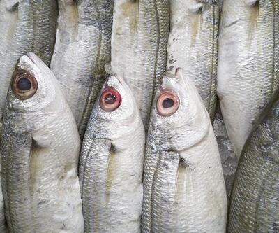 Omega-3 zengini balıklar bağışıklığı güçlendiriyor
