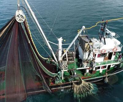 Karadeniz'de balık stoku azalıyor