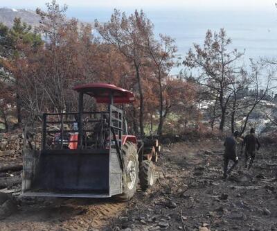 Bodrum ve Milas'ta yanan sahalar temizleniyor