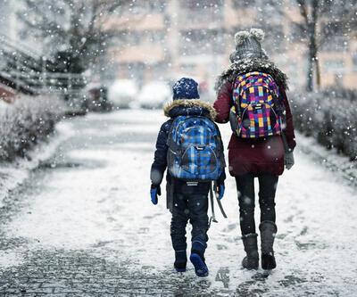 Bugün okullar tatil mi, hangi illerde? 20 Aralık Pazartesi kar tatili olan illerin listesi son dakika!