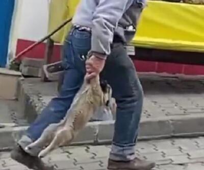 Yavru köpeği patilerinden tutup taşıyan işçiye uyarı