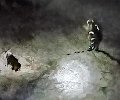 Kayalıklarda mahsur kalan 11 keçiyi AFAD kurtardı