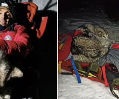 Dağda mahsur kalan sahibinin üzerinde 13 saat yatan köpek hayat kurtardı