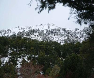 Akdağ Tabiat Parkı’nda muhteşem kış görüntüsü