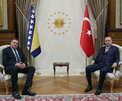 Erdoğan'a Bosna Hersek çağrısı