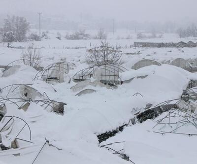 Amasya’da yoğun kar yağışı seraları yıktı