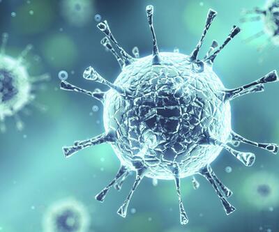 Bilim insanları, Güney Afrika'da bulunan NeoCoV koronavirüsünün neden tehlikeli olduğunu açıkladı