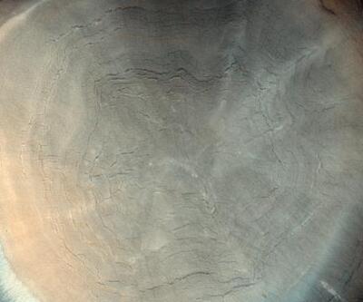 Ağaç kütüğüne benzetilmişti... Mars'taki fotoğrafın gizemi çözüldü