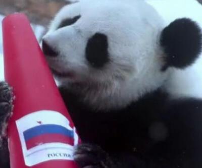 Panda Ding Ding'e göre Rus artistik patinajcılar hangi madalyaları kazanacak?