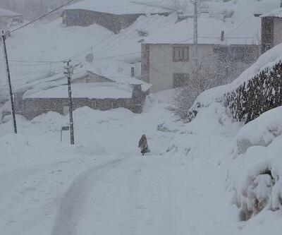 Karlıova'da 2 haftanın ardından yeniden kar yağdı