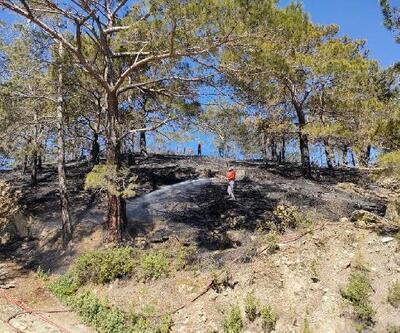 Anamur'da 1 hektarlık orman yandı