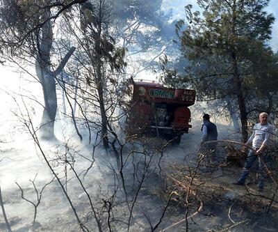 Soma'da korkutan orman yangını