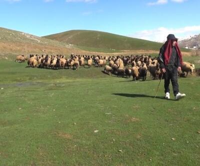 Kışı atlatan besicileri yüksek maliyetli çoban telaşı sardı