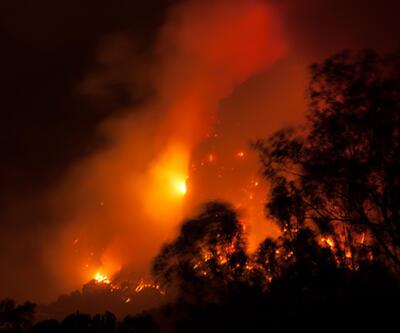 Meksika'da orman yangını alarmı: "Kontrol altına alınamıyor!"