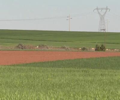350 çiftçiye 278 ton yazlık buğday dağıtıldı