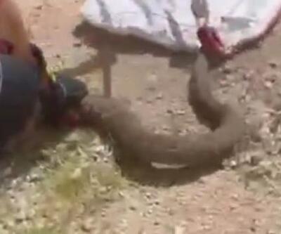 Mardin’de evin önündeki yılan, itfaiye ekiplerince yakalanıp doğaya bırakıldı
