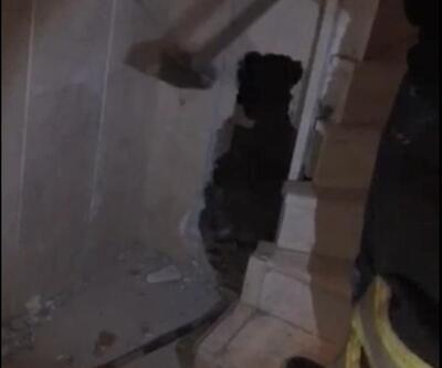 Duvarı kırarak yavru kedileri kurtardılar