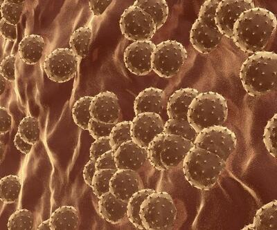 Gizemli hepatit salgınında tehlike büyüyor! 7 soru 7 cevap 