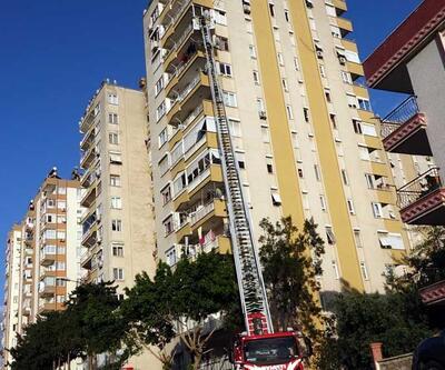 12'nci kattan 11'inci kata düşen 'Miço' itfaiye tarafından kurtarıldı