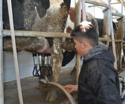 Aksaray’da süt  üreticileri, yapılan 1.80 liralık zamdan memnun