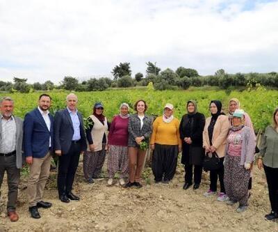 Akdeniz’de çiftçilere, verimli ve etkin gübre kullanımı semineri