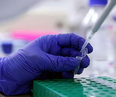 İçişleri Bakanlığından “Ülkeye Giriş Tedbirleri” konulu genelge: PCR test zorunluluğu kaldırıldı
