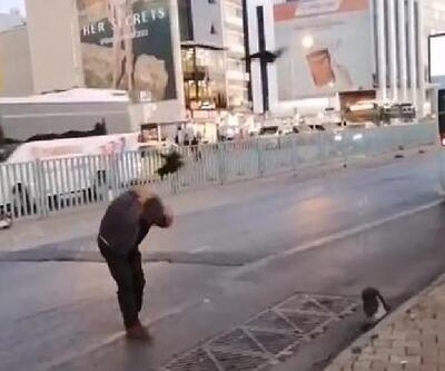 Kadıköy'de kargalar kaldırımdakilere zor anlar yaşattı
