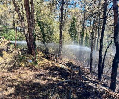 Beykoz'da çıkan orman yangını söndürüldü