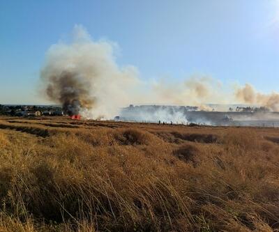100 ton buğday zarar gördü! Silivri'de tarla alev alev yandı
