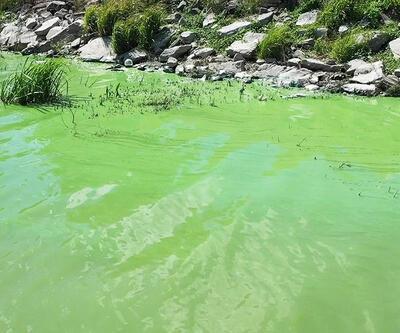 Sazlıbosna Barajı'nın rengi değişti