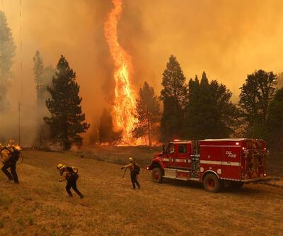ABD'de orman yangını: Acil durum ilan edildi