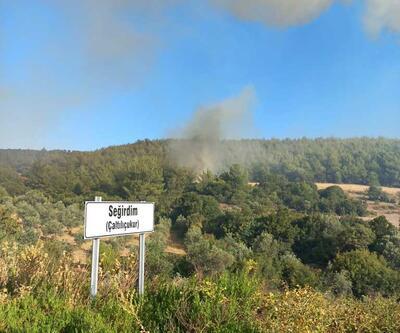 Manisa ve Kütahya'daki orman yangınlarına müdahale sürüyor!