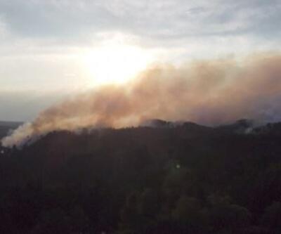 Çekya'da orman yangını söndürülemiyor