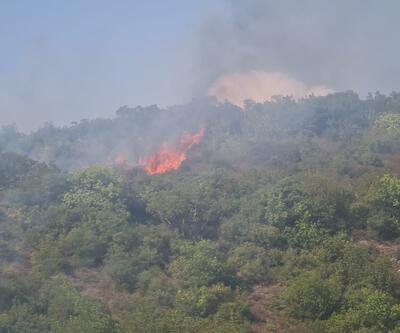 Kocaeli'de orman yangını 