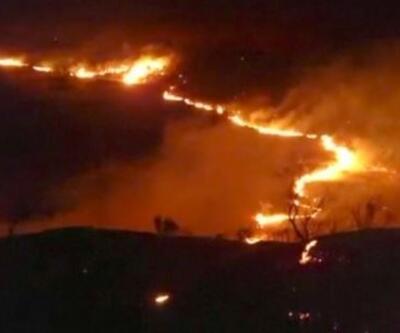 İspanya'nın ormanları yanıyor